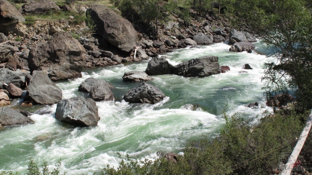 Бурное течение реки Чулышман в гористой части русла