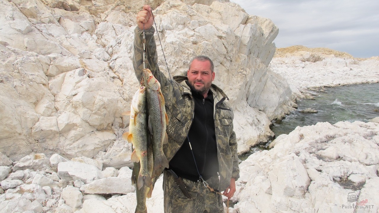 Рыбалка в Монголии удалась