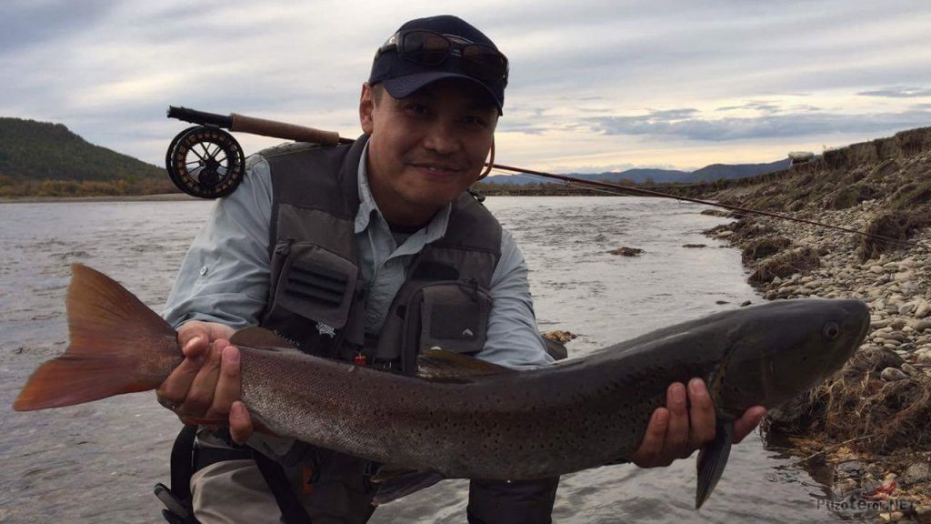 Рыбалка в Монголии. Ловля Тайменя.