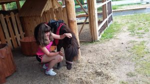 Татьяна гладит пони
