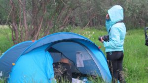 Быстросборная палатка Quechua