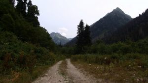 Дорога по ущелью Дамхурц