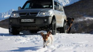 Ричи радуется, бегает по горам в Осетии