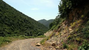 Горная грунтовая дорога в заповеднике Малый Утриш