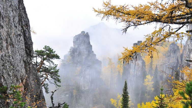 Зубчатки в тумане