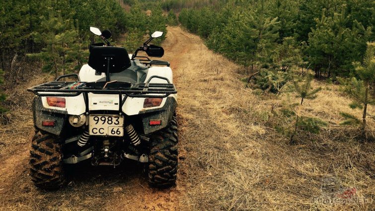 Stels ATV 600 gt на узкой лесной дороге