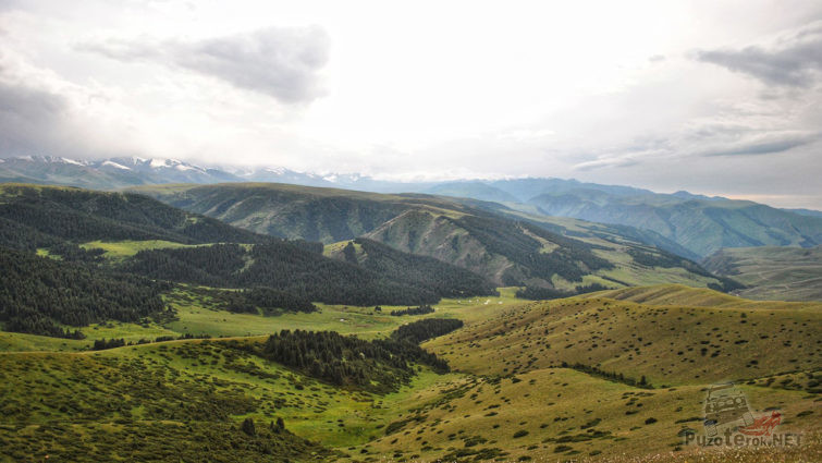 Красивейшая панорама зелёных лугов и лесов