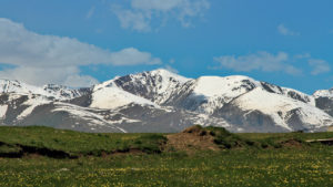 Цветущий луг на фоне снежных пиков