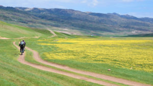 Велосипедисты среди цветущих лугов плато