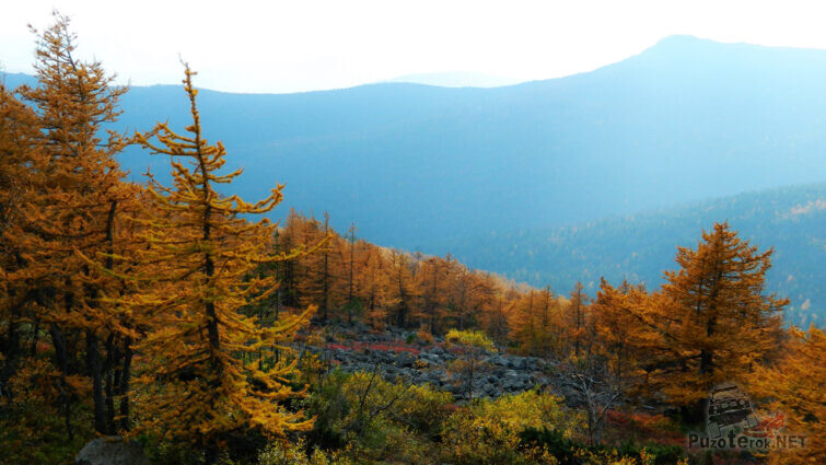 Осенний лес на склонах хребта