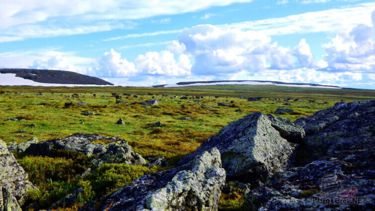 Панорама горной тундры